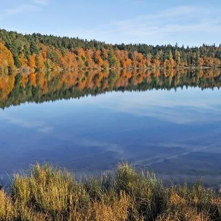 Dom wakacyjny Confortable Pres De La Cascade De La Beaume Avec Terrasses Et Parking Privatif - Fr-1-582-30 Solignac-sur-Loire